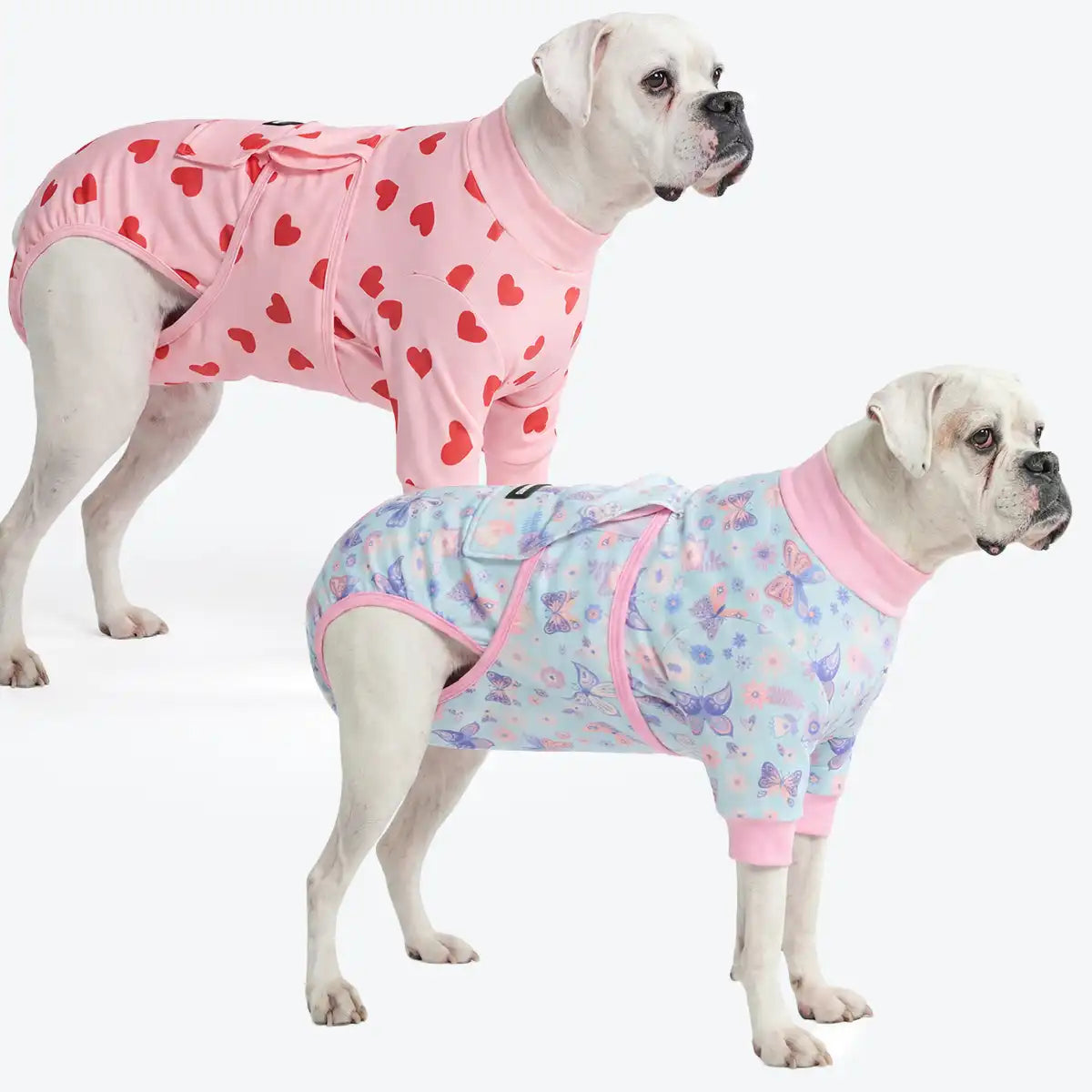 Dog Surgical Suit  2-pack