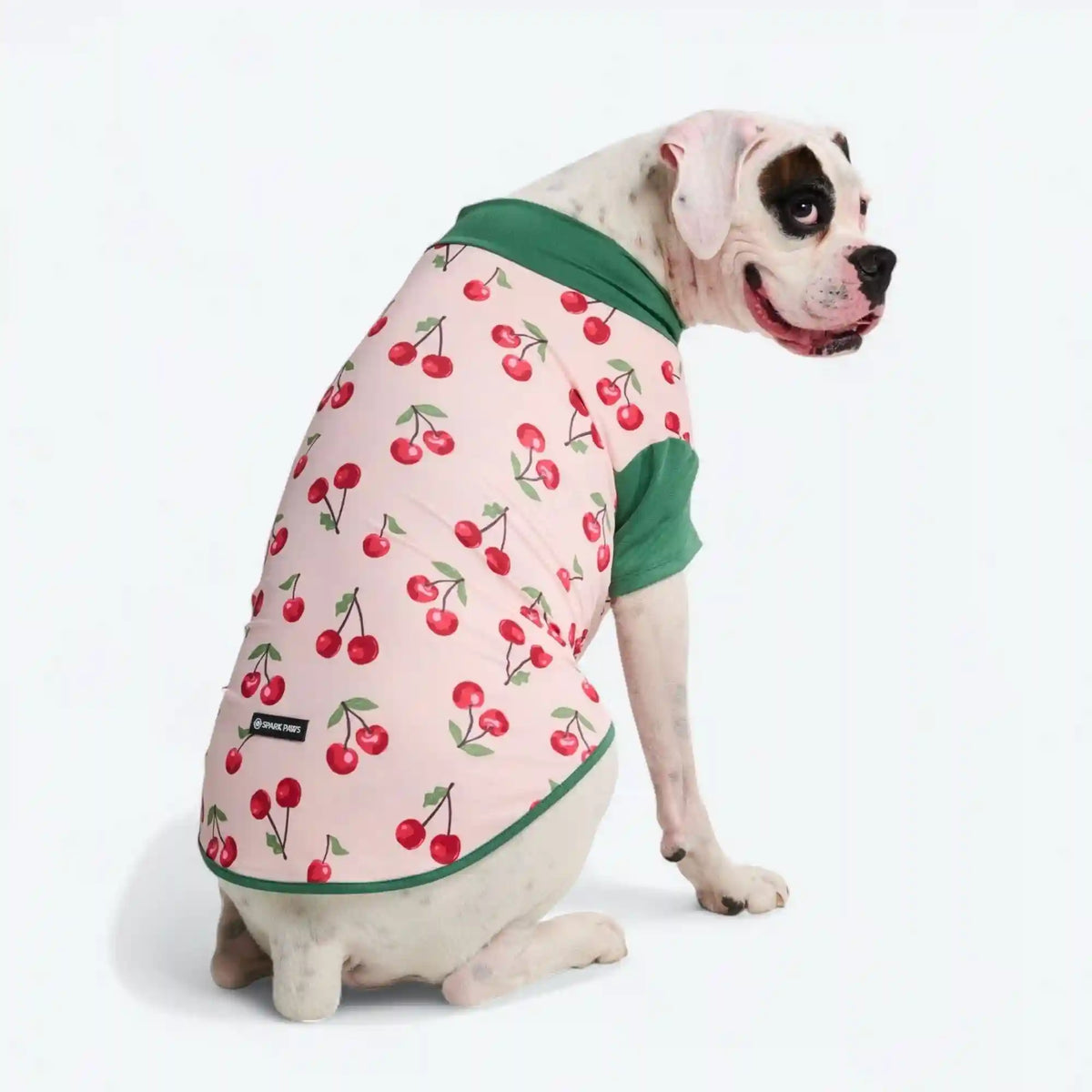 Sunblock Dog T-Shirt - Prints