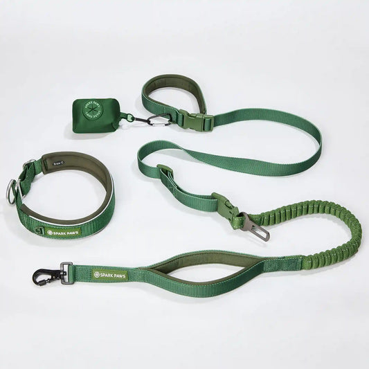 Martingale Collar and Multipurpose Leash Set - Army Green