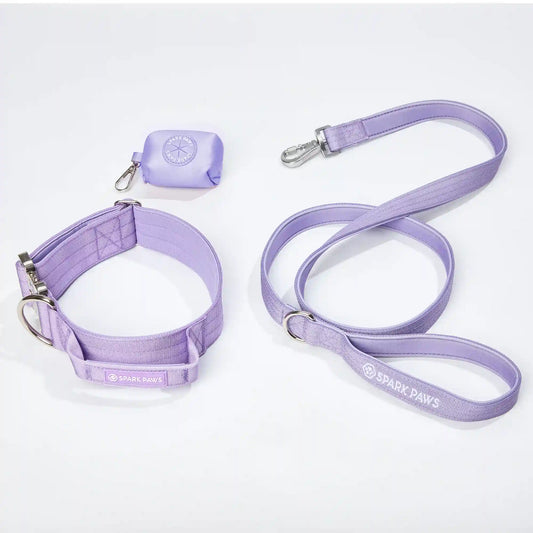 Comfort Control Collar Set - Lilac
