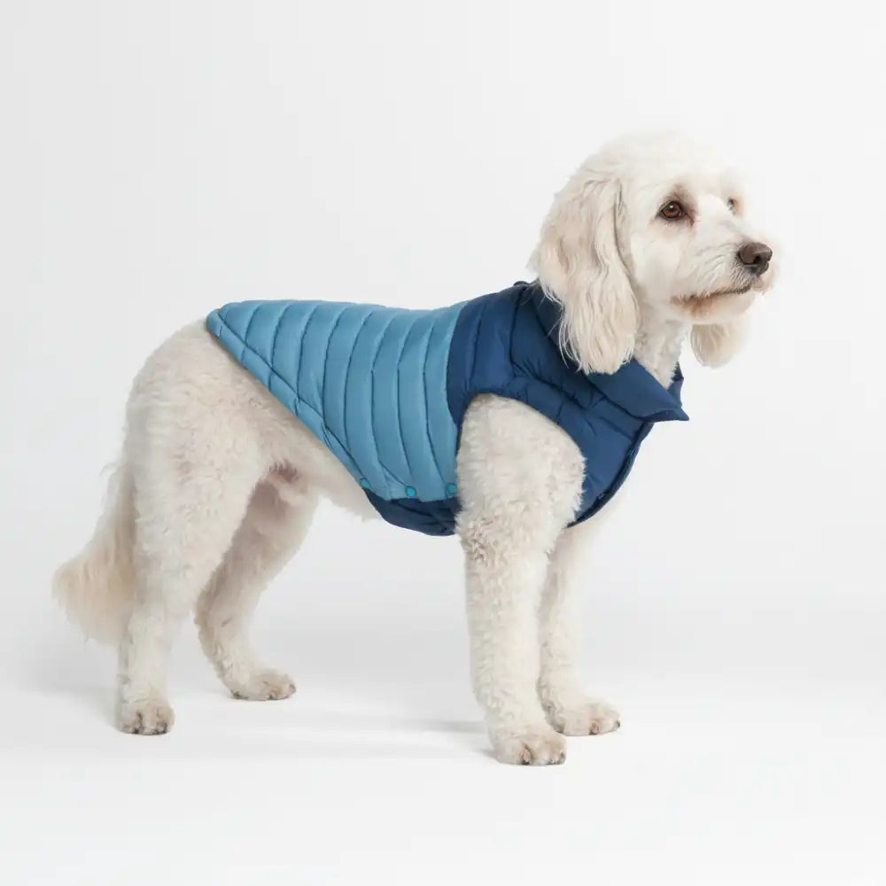 PuffShield Winter Jackets