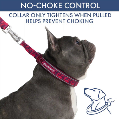 Martingale Collar and Multipurpose Leash Sets