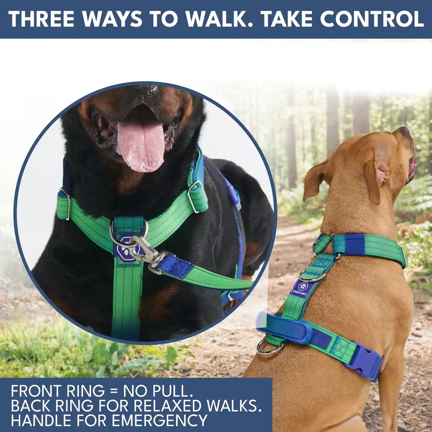 Comfort Control No-Pull Dog Harness and Multipurpose Leash Sets