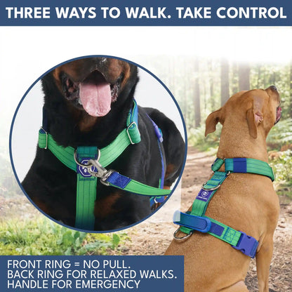 Comfort Control No-Pull Dog Harness and Multipurpose Leash Sets