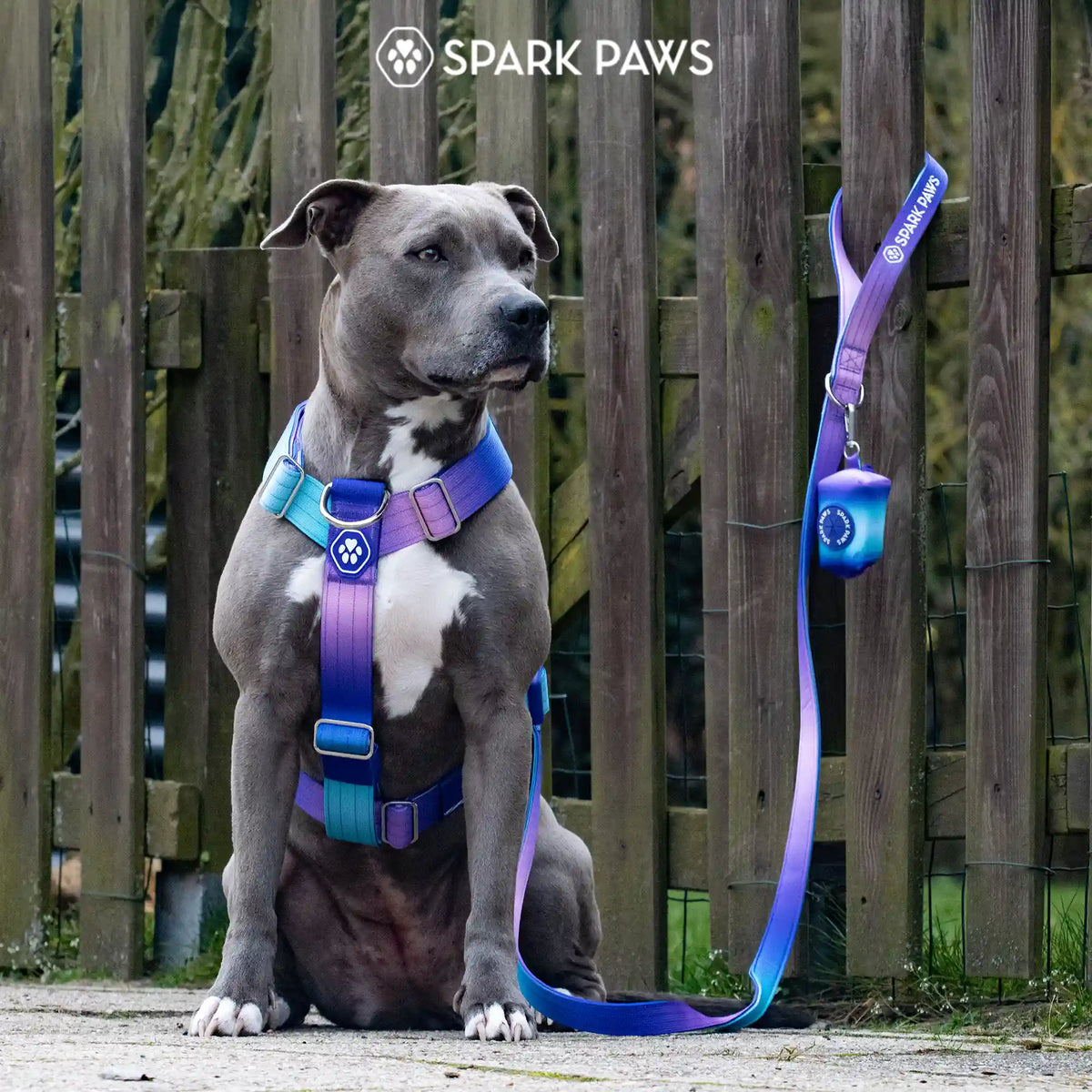 Comfort Control No-Pull Dog Harness - 90s Retro