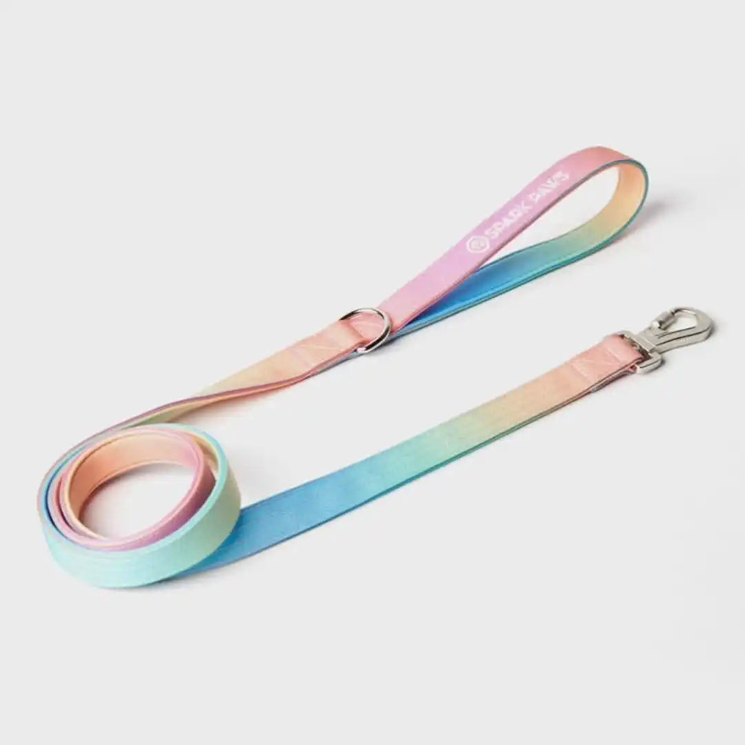 Leash and Poop Bag Holder Set