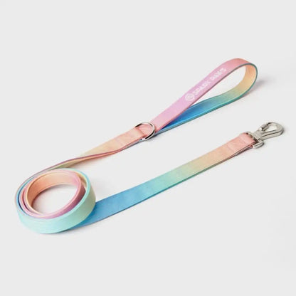 Leash and Poop Bag Holder Set