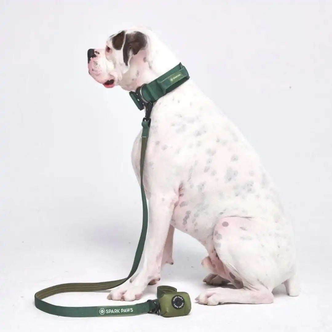 Leash and Poop Bag Holder Set
