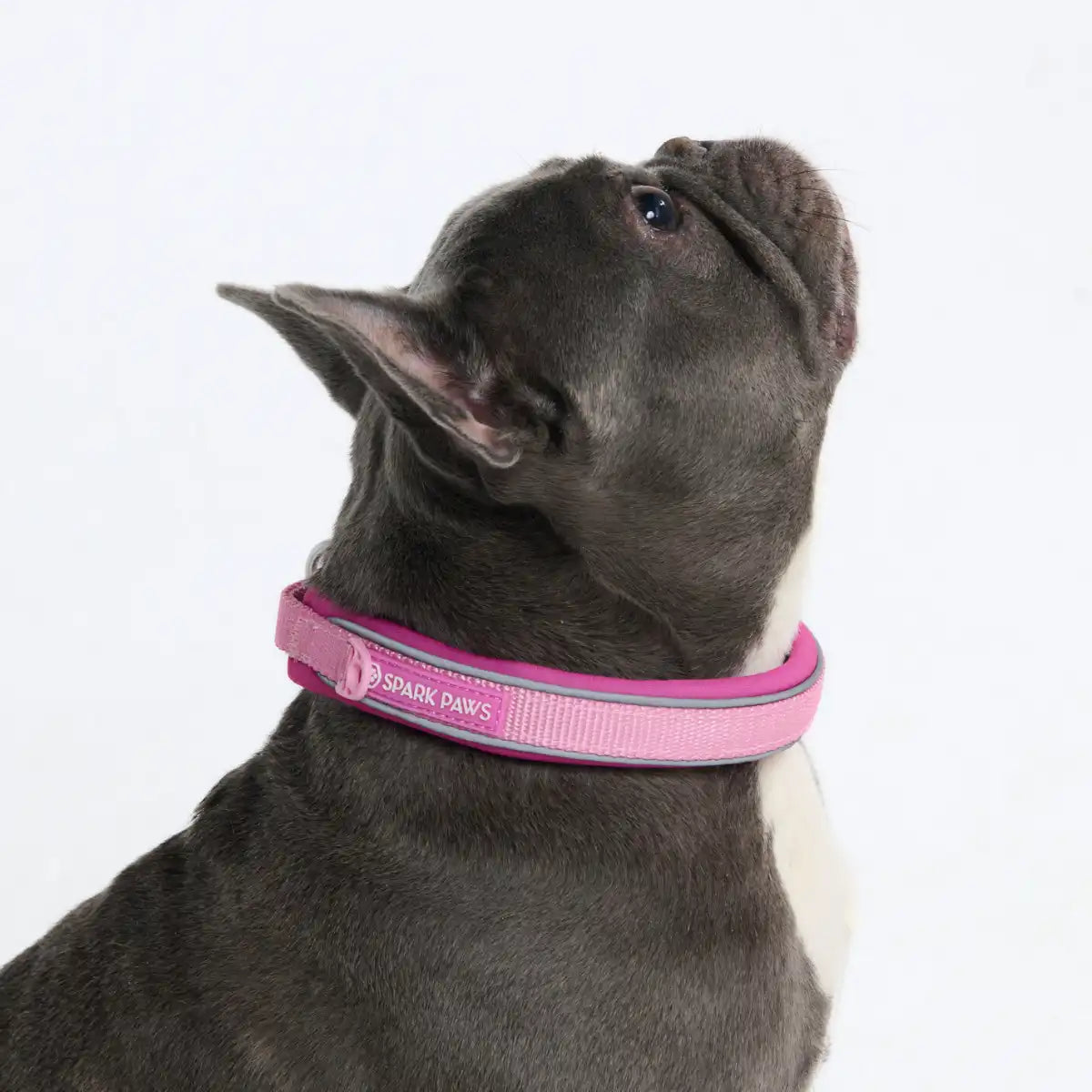 Cushioned Martingale Collars
