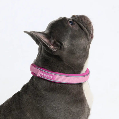 Cushioned Martingale Collars