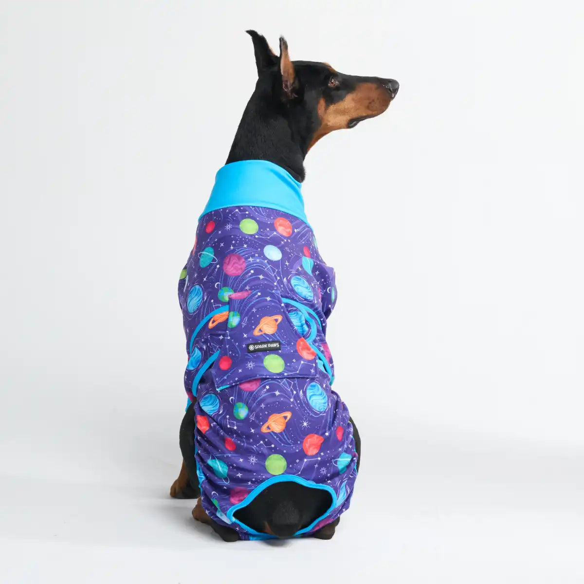 Dog Surgical Suit - Planets