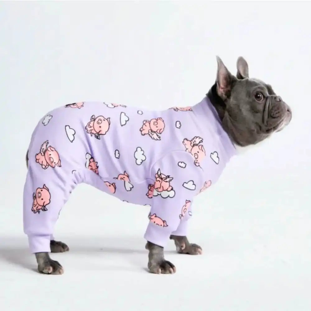 Dog Pajama - When Pigs Fly