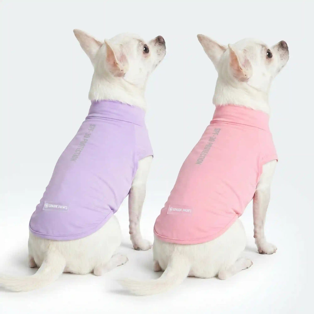 Sunblock Dog T-Shirt 2-pack