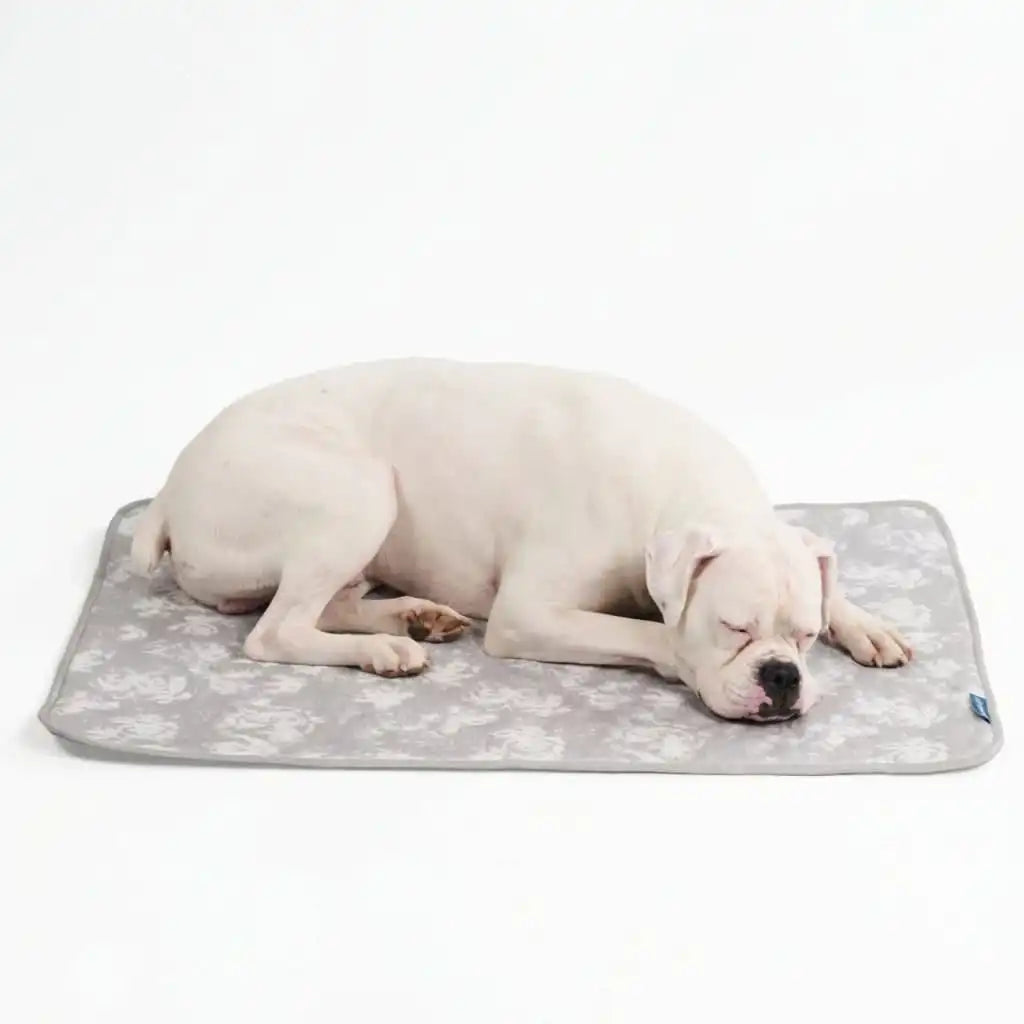 Frostcore™ Cooling Mat - Clouds Grey
