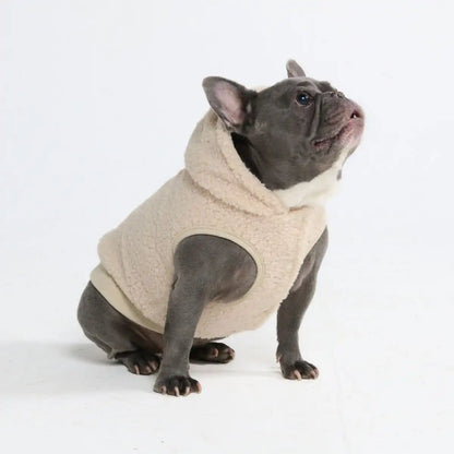 Teddy Sherpa Dog Jacket - Beige