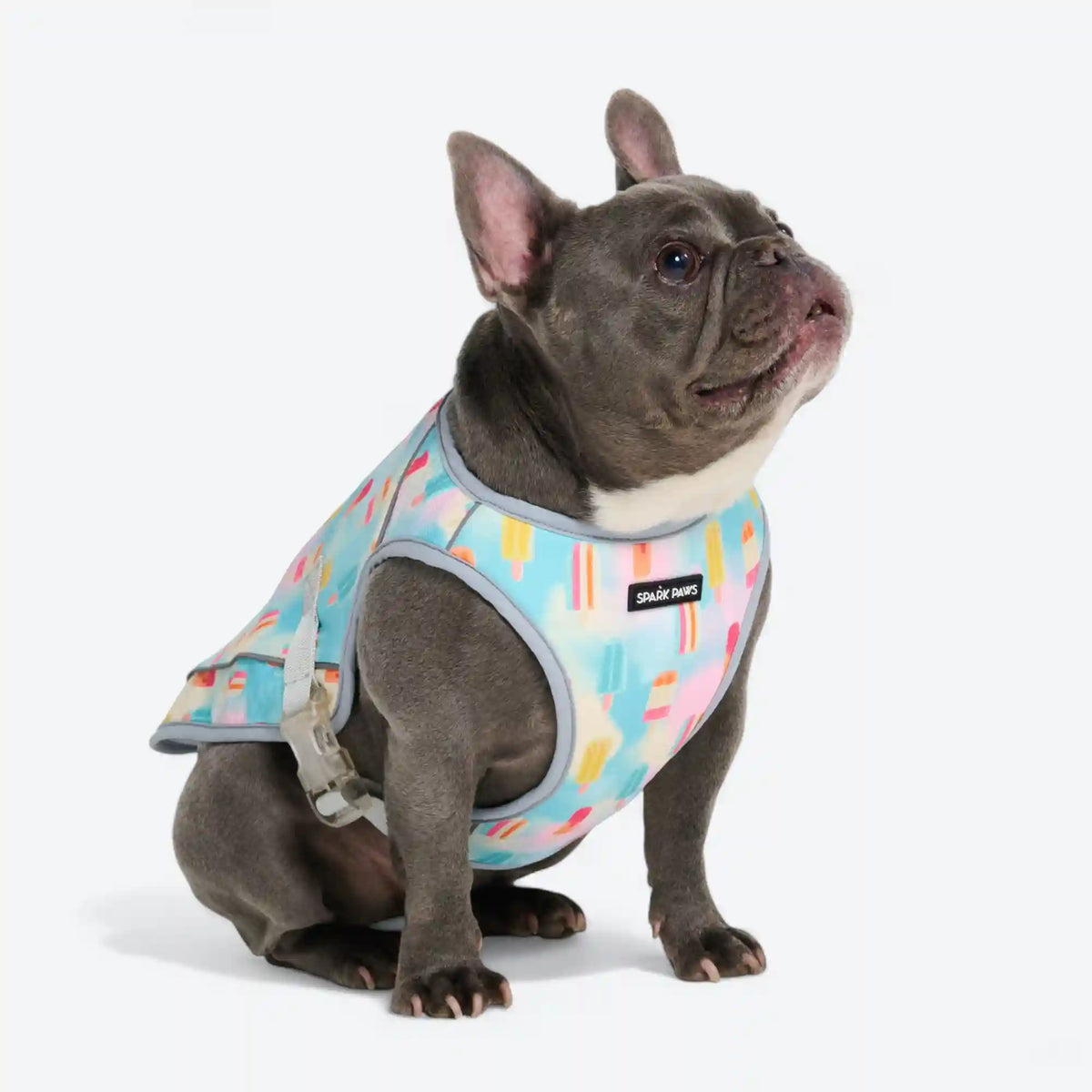 Chilltech™ Dog Cooling Vests