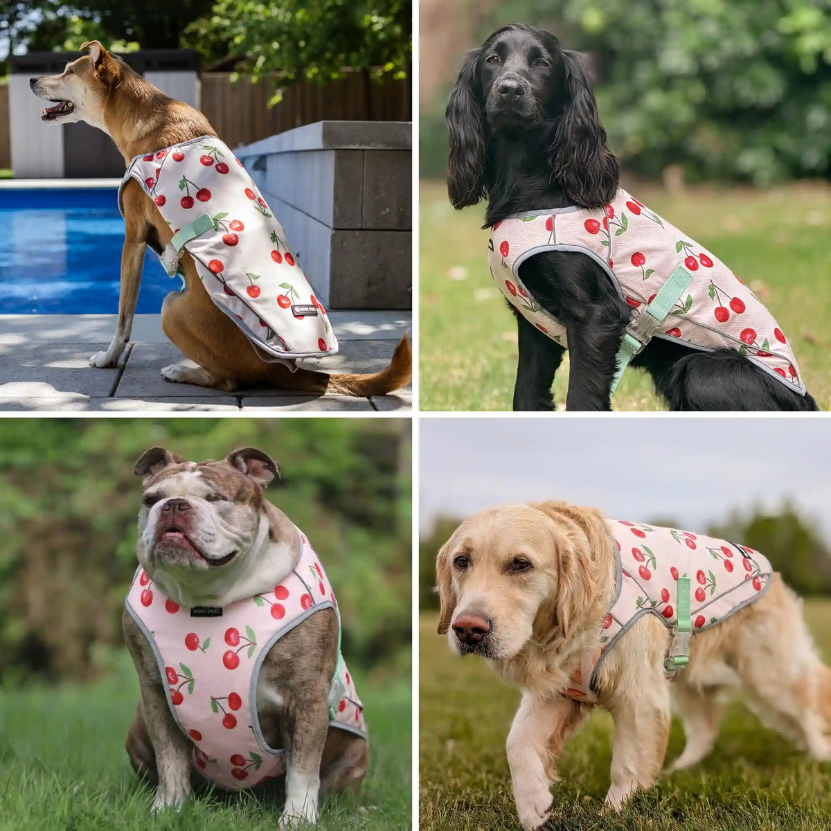 Dog Cooling Vest - Cherries