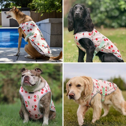 Dog Cooling Vest - Cherries