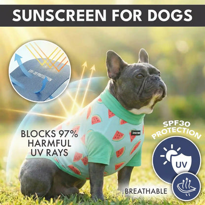 Sunblock Dog T-Shirt 2-pack