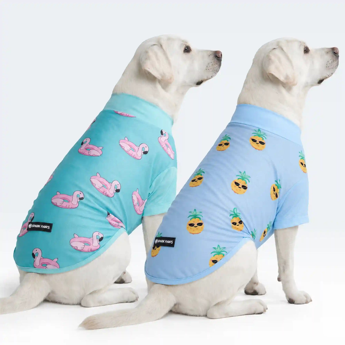 Sunblock Dog T-Shirt 2-pack