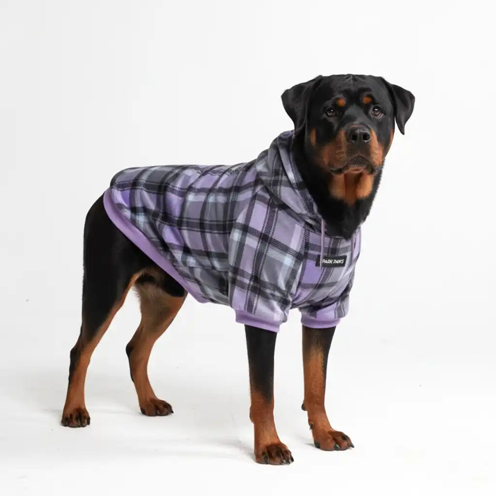 Plaid Dog Hoodies