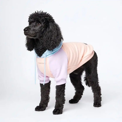 Cotton Candy Dog Hoodie
