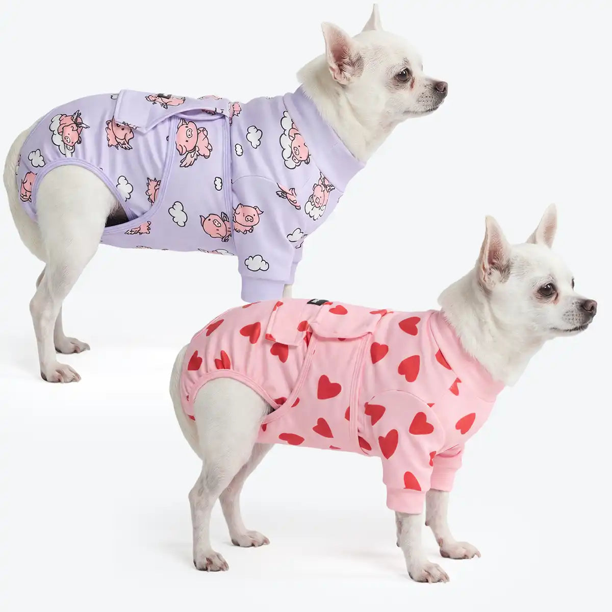 Dog Surgical Suit  2-pack