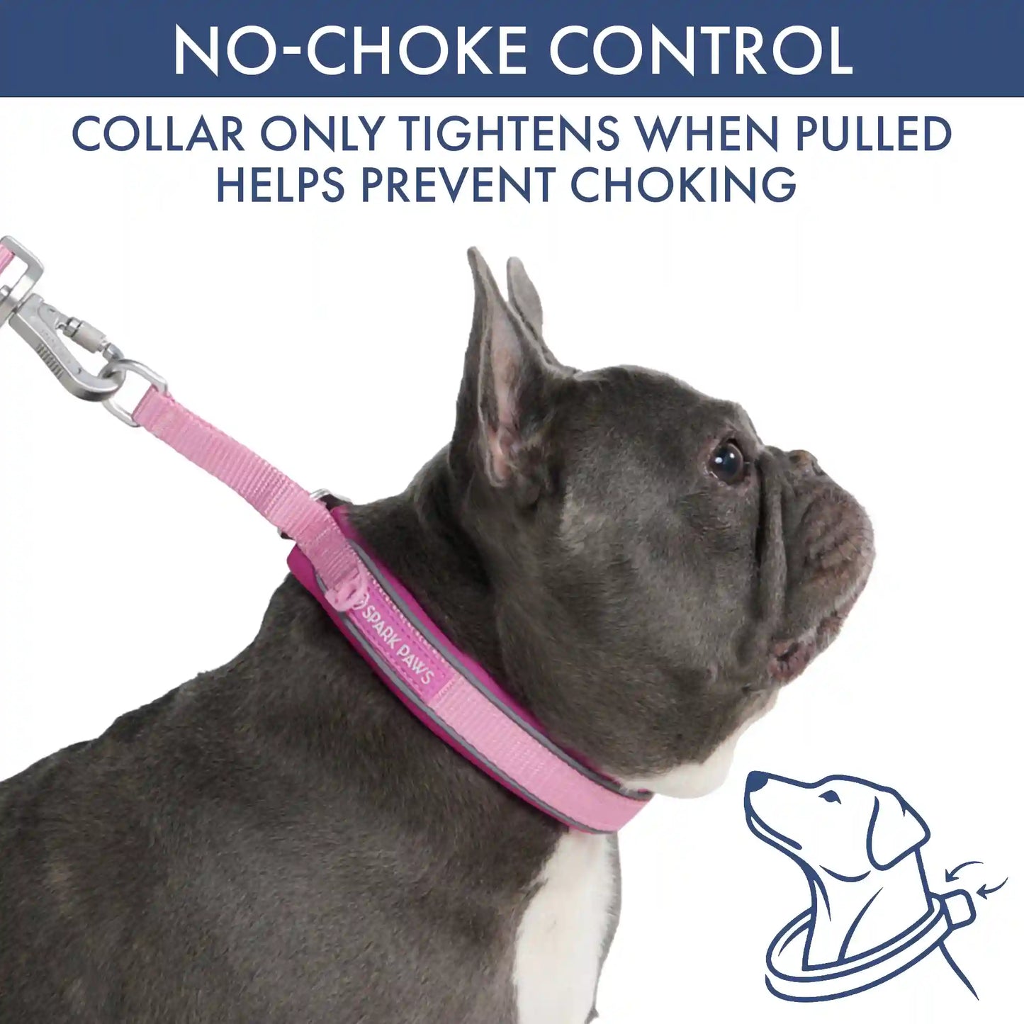 Martingale Collar Set - Pink