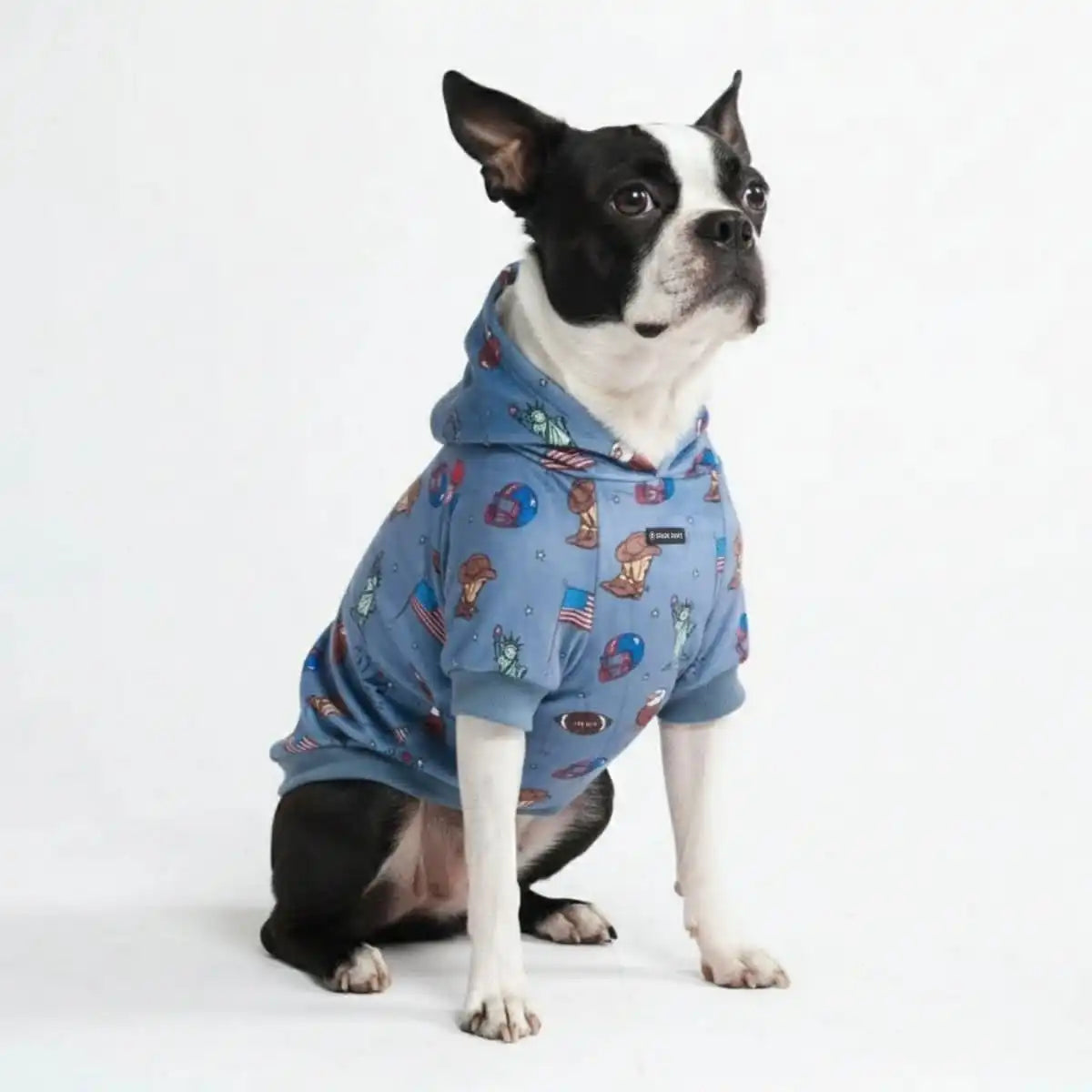 Around the World Dog Hoodies