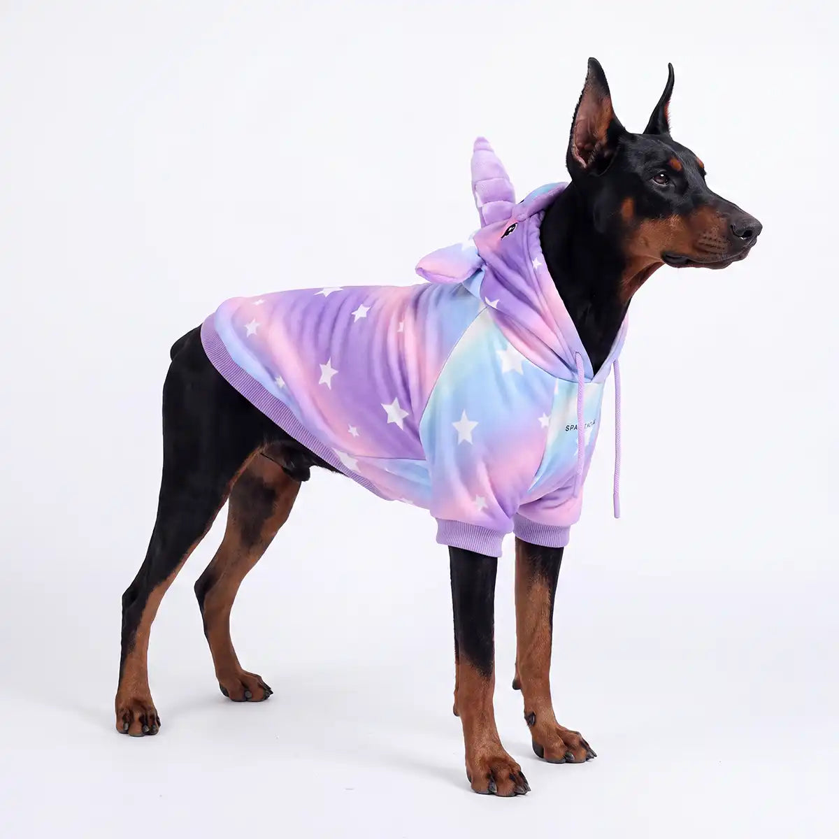 Halloween Dog Hoodies (Limited Edition)