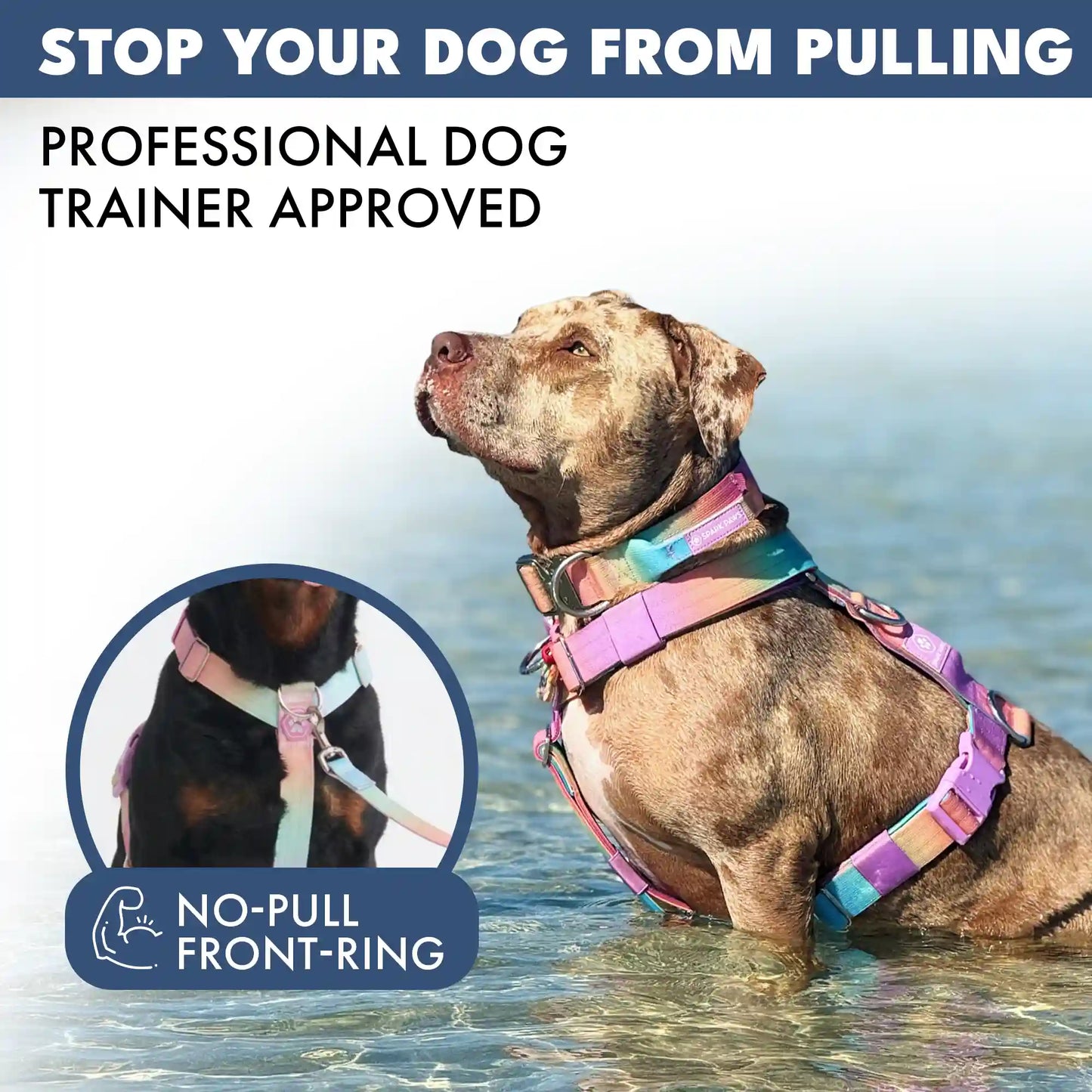 Comfort Control No-Pull Dog Harness - Pastel Icing