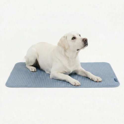 Frostcore™ Cooling Mat - Waffle Ash Blue