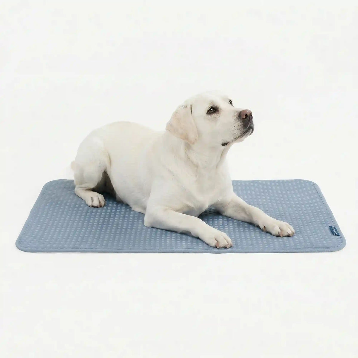 Frostcore™ Cooling Mat