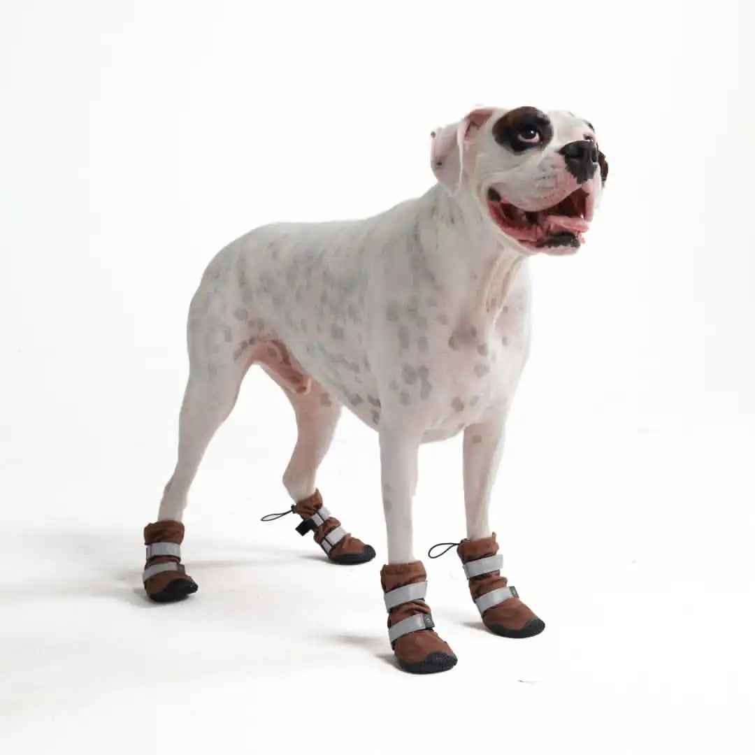 Dog Rainboots, Waterproof Dog Shoes - Brown