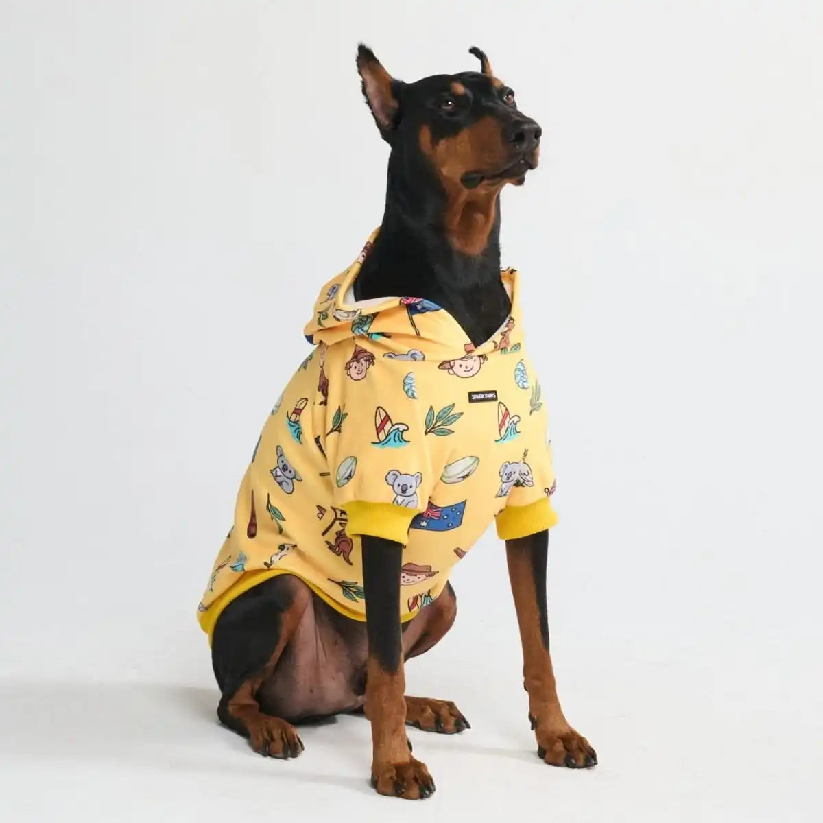 Around the World Dog Hoodies