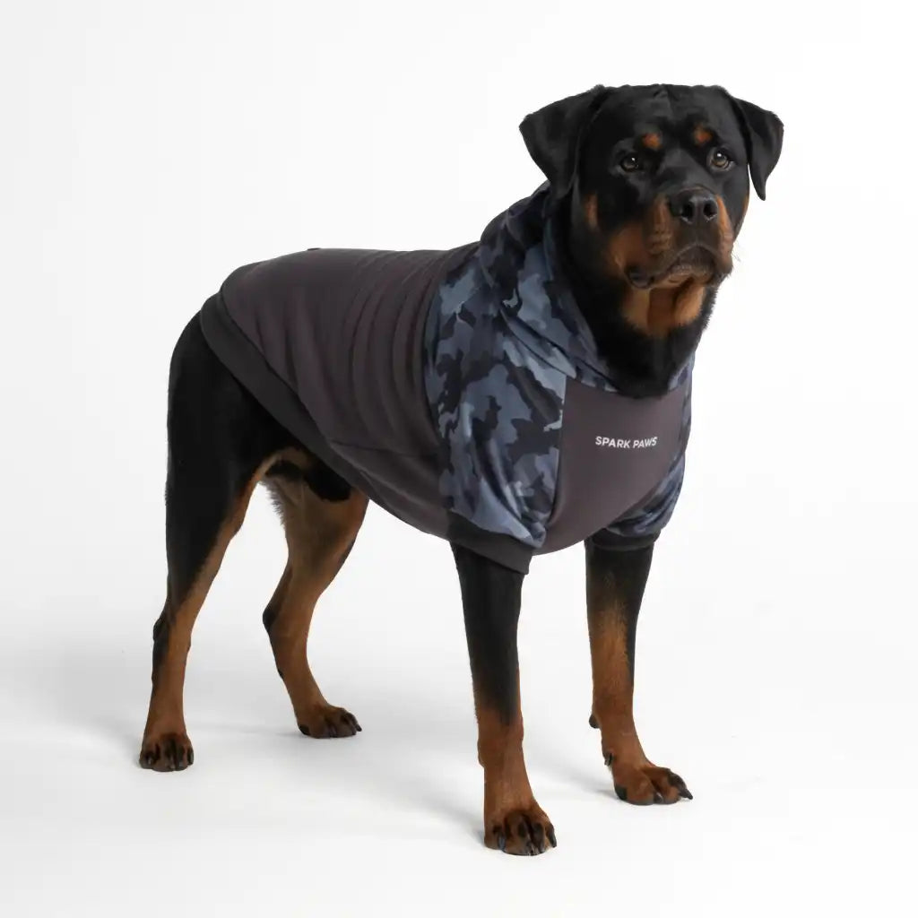 Camo Dog Hoodies