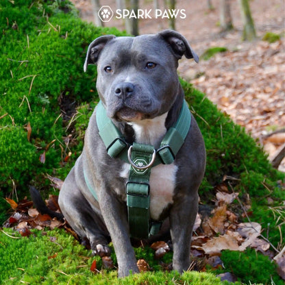 Comfort Control No-Pull Dog Harness Set - Army Green