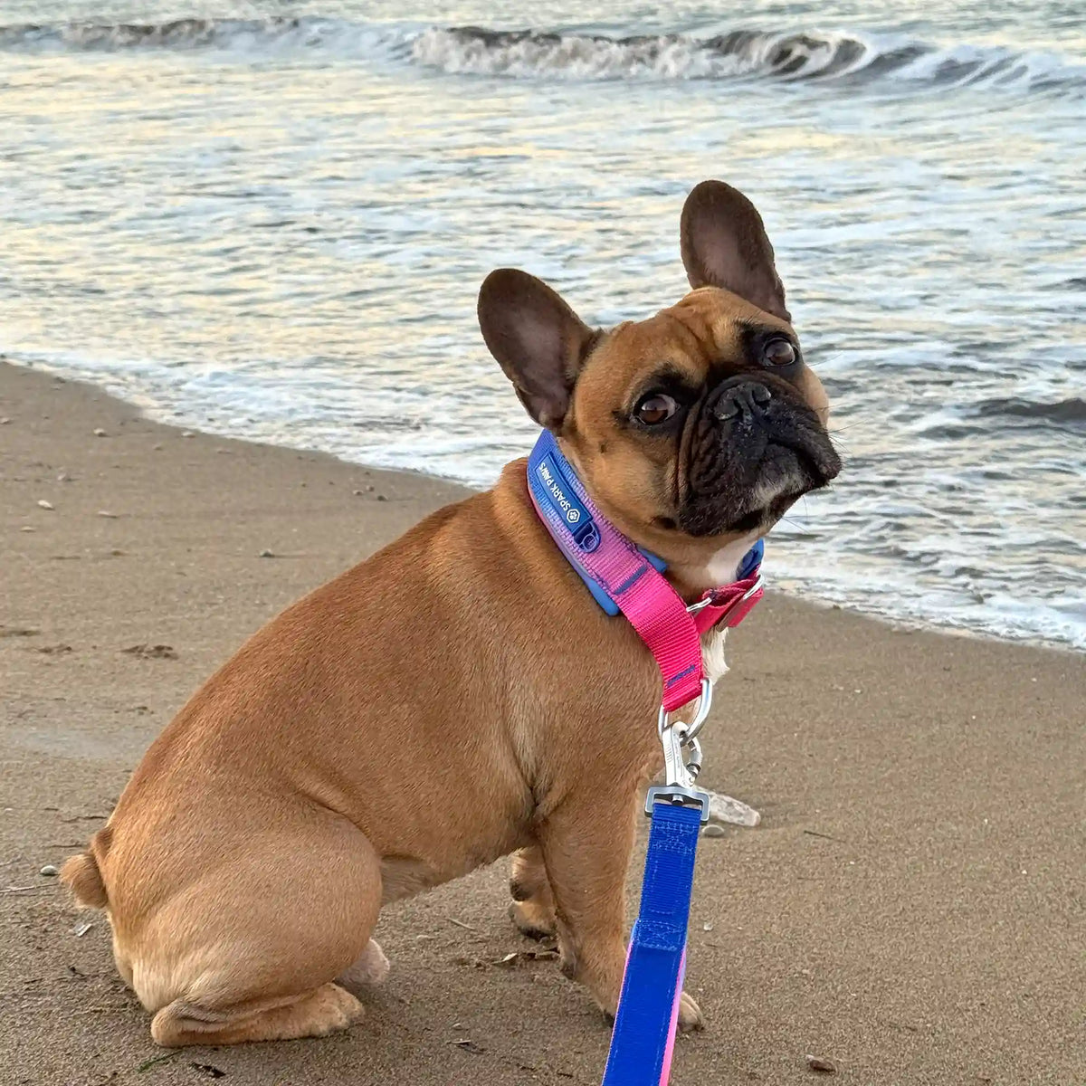 Martingale Collar Sets