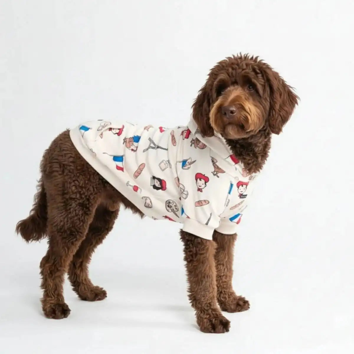 Around the World Dog Hoodies