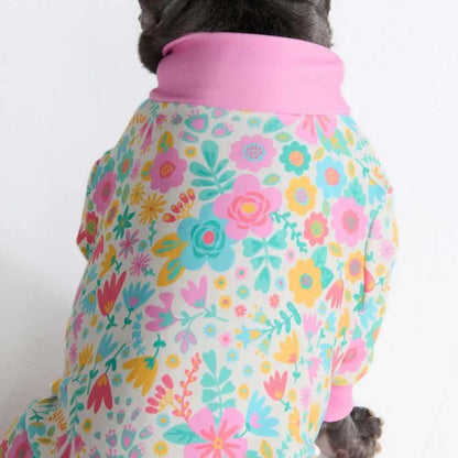 Dog Pajama Prints