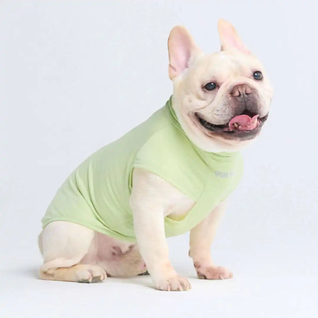 Sunblock Dog T-Shirt - Light Sage