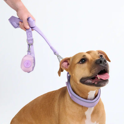 Cushioned Martingale Collar - Lilac
