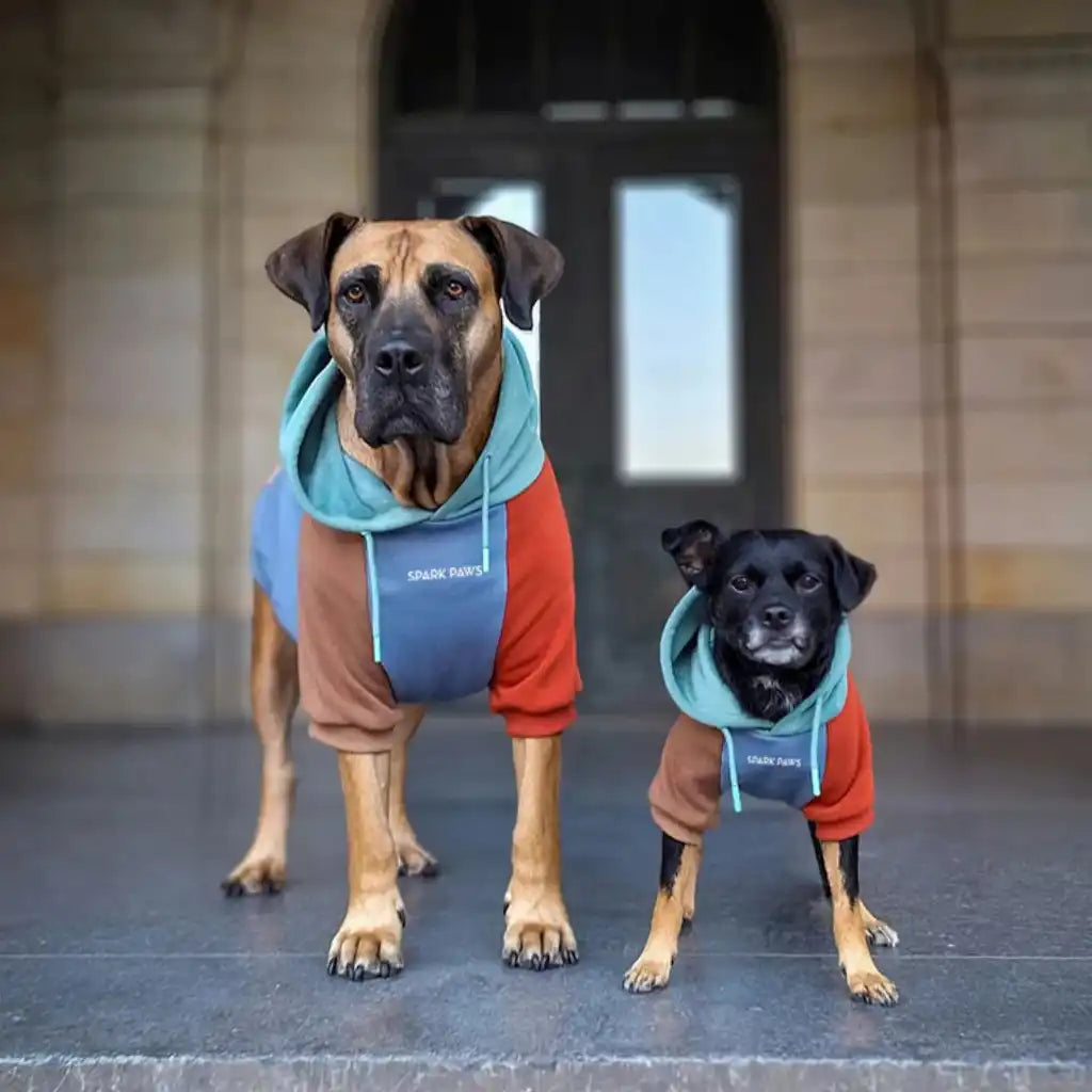 Alpine Dog Hoodie