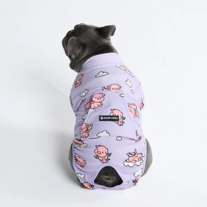 Dog Surgical Suit  2-pack