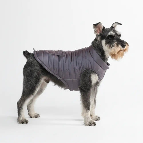 WarmShield Water-Resistant Jacket - Gunmetal Grey
