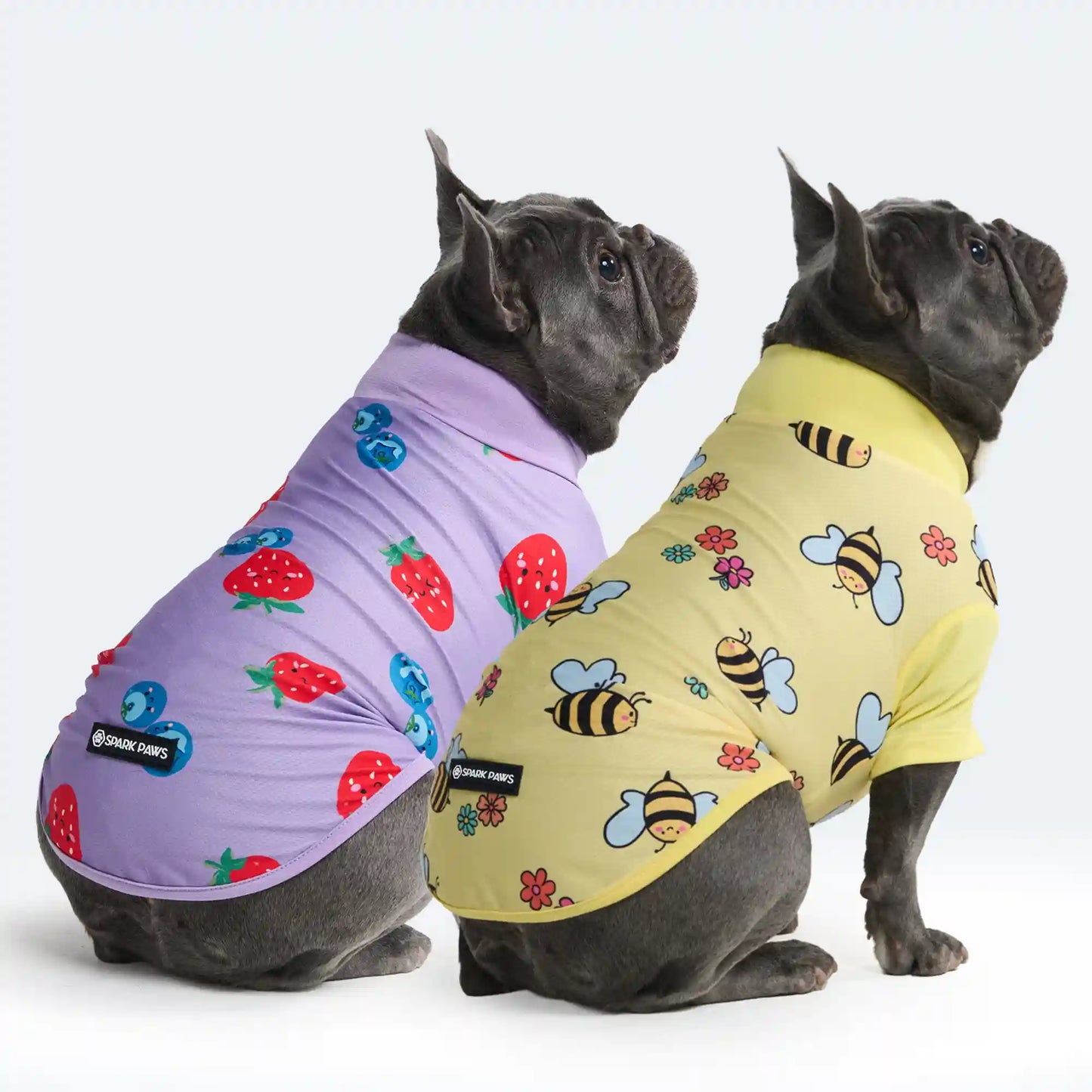 Sunblock Dog T-Shirt 2-pack
