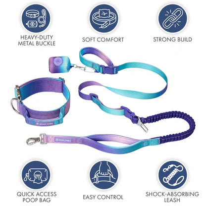 Comfort Control Collar and Multipurpose Leash Sets