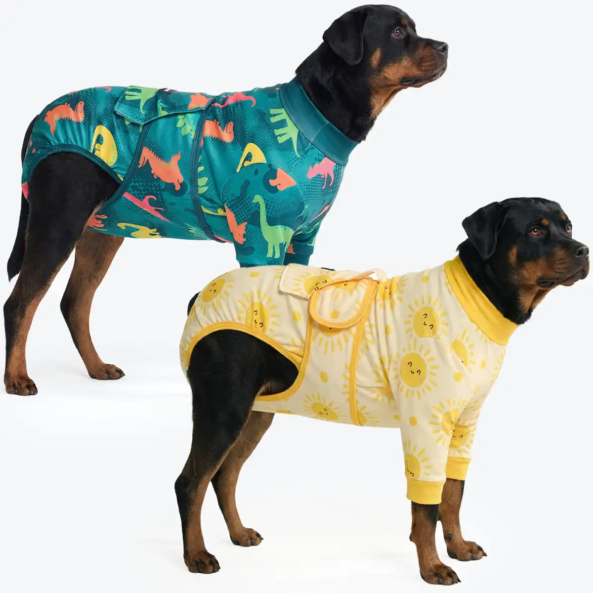 Dog Surgical Suit  2-pack