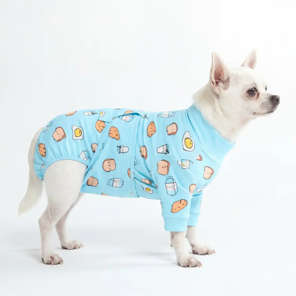 Dog Surgical Suit