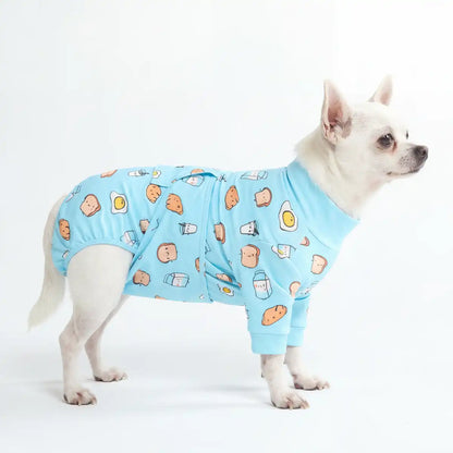 Dog Surgical Suit